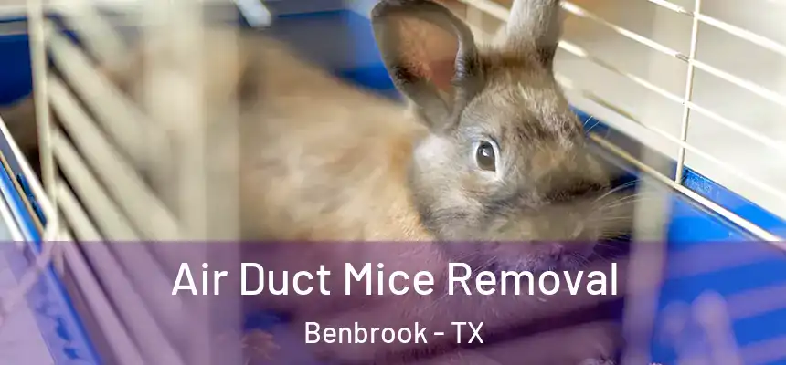 Air Duct Mice Removal Benbrook - TX