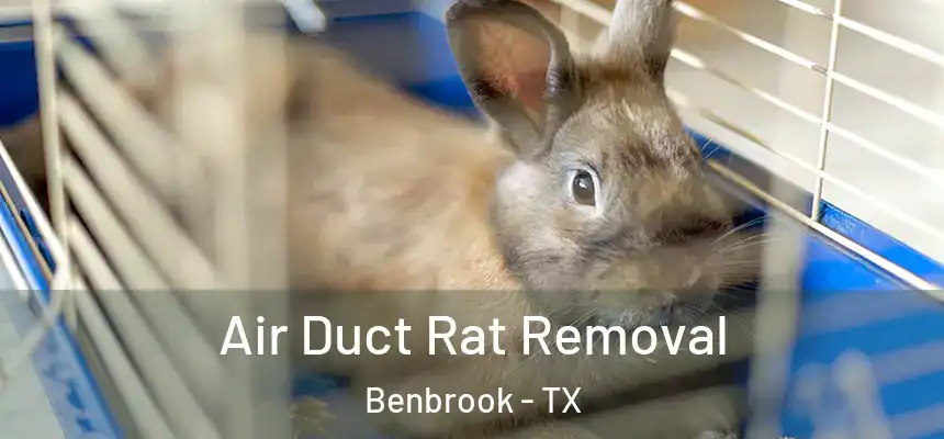  Air Duct Rat Removal Benbrook - TX