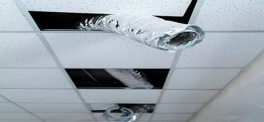 Our Air Duct Pet Hair Removal Services in Benbrook, TX