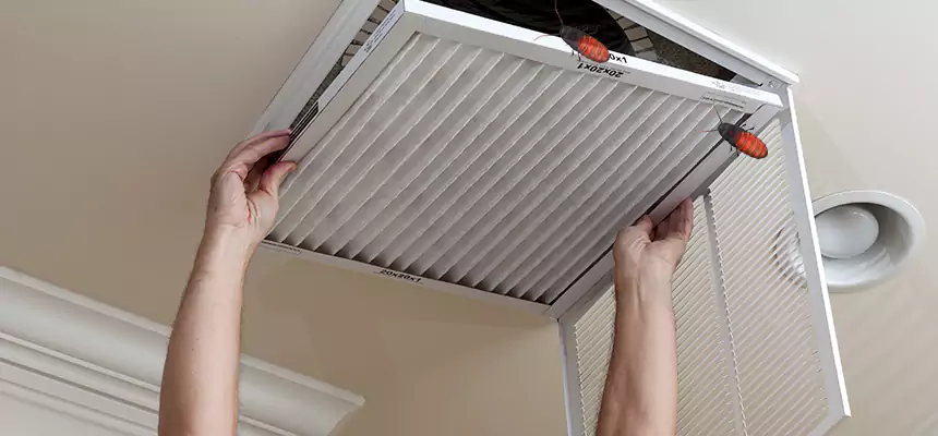 Our Insect Removal from Air Ducts Services in Benbrook, TX