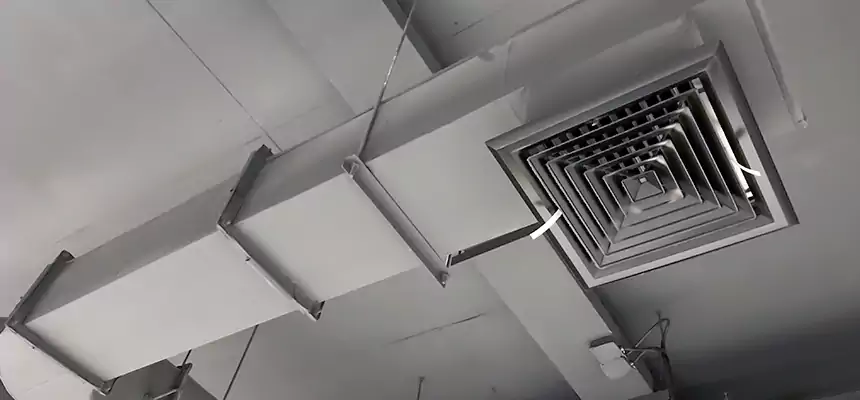 Our Pest Removal From Ducts Services in Benbrook, TX