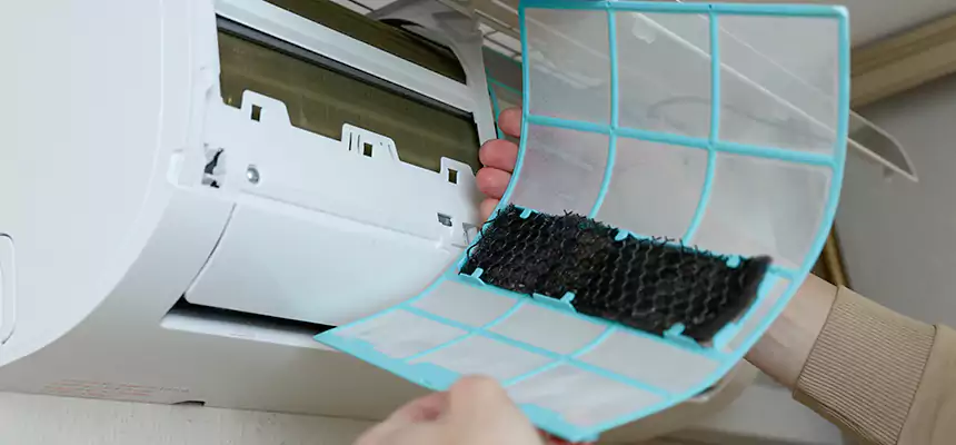 Gentle Ductwork Odor-Control Pet Dander Duct Cleaning in Benbrook, TX