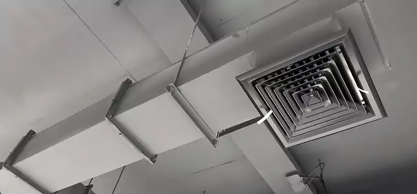 Our Rodent Droppings In Vents Services in Benbrook, TX