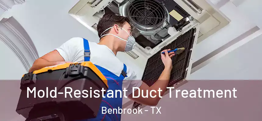  Mold-Resistant Duct Treatment Benbrook - TX