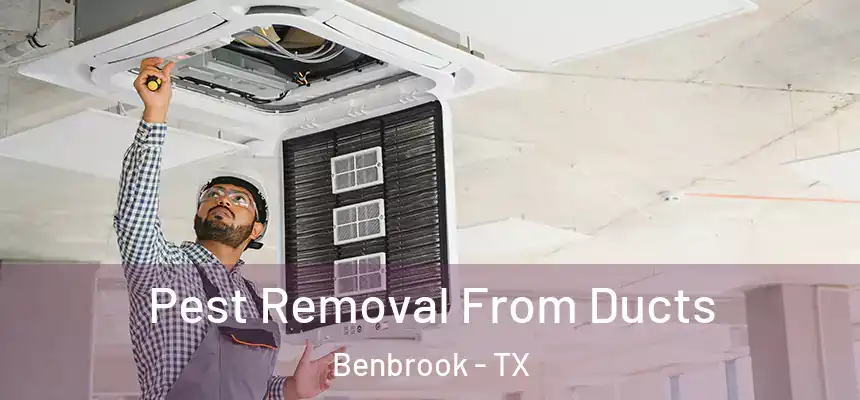  Pest Removal From Ducts Benbrook - TX