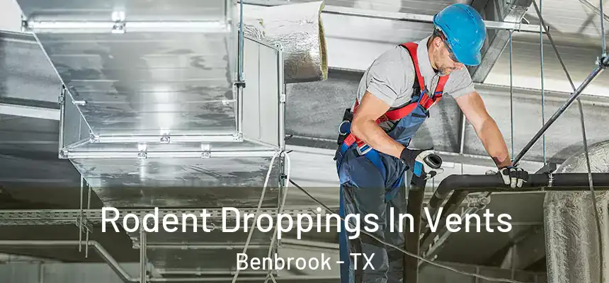 Rodent Droppings In Vents Benbrook - TX
