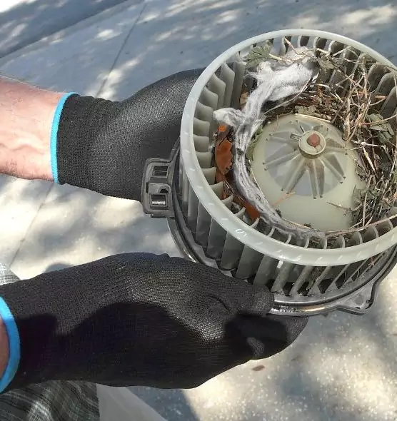 About Air Duct Mice Removal in Benbrook, TX