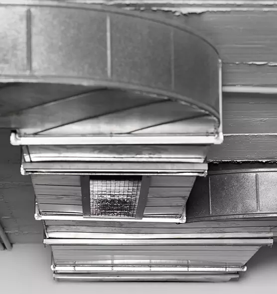 Professional Air Duct Pest Removal in Benbrook, TX