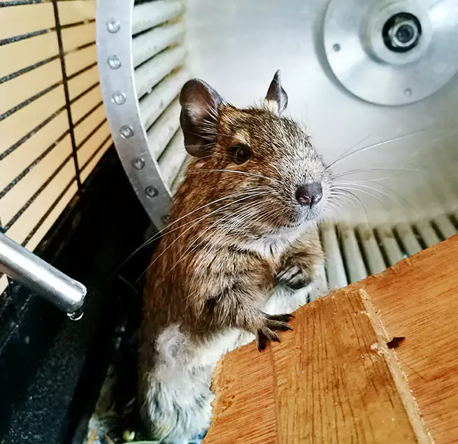 Why Homeowners & Businesses Trust Us Benbrook, TX